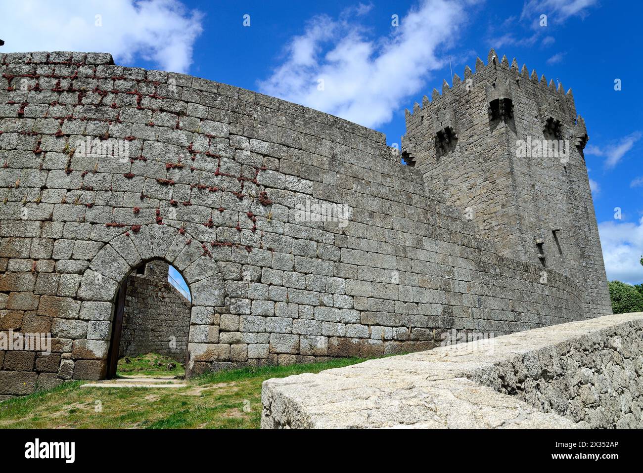 Violet arena hi-res stock photography and images - Alamy