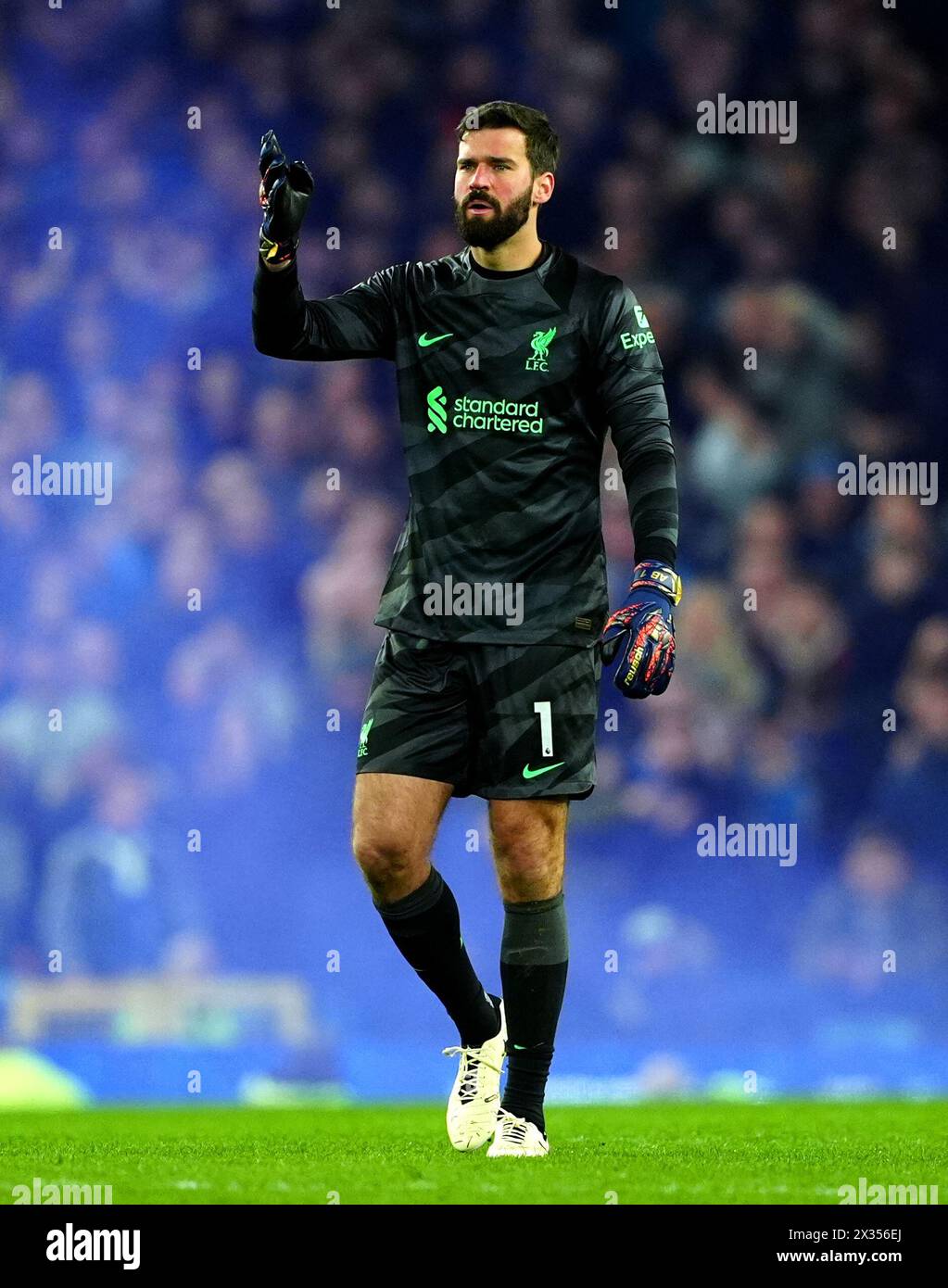 Liverpool goalkeeper Alisson Becker during the Premier League match at Goodison Park, Liverpool. Picture date: Wednesday April 24, 2024. Stock Photo