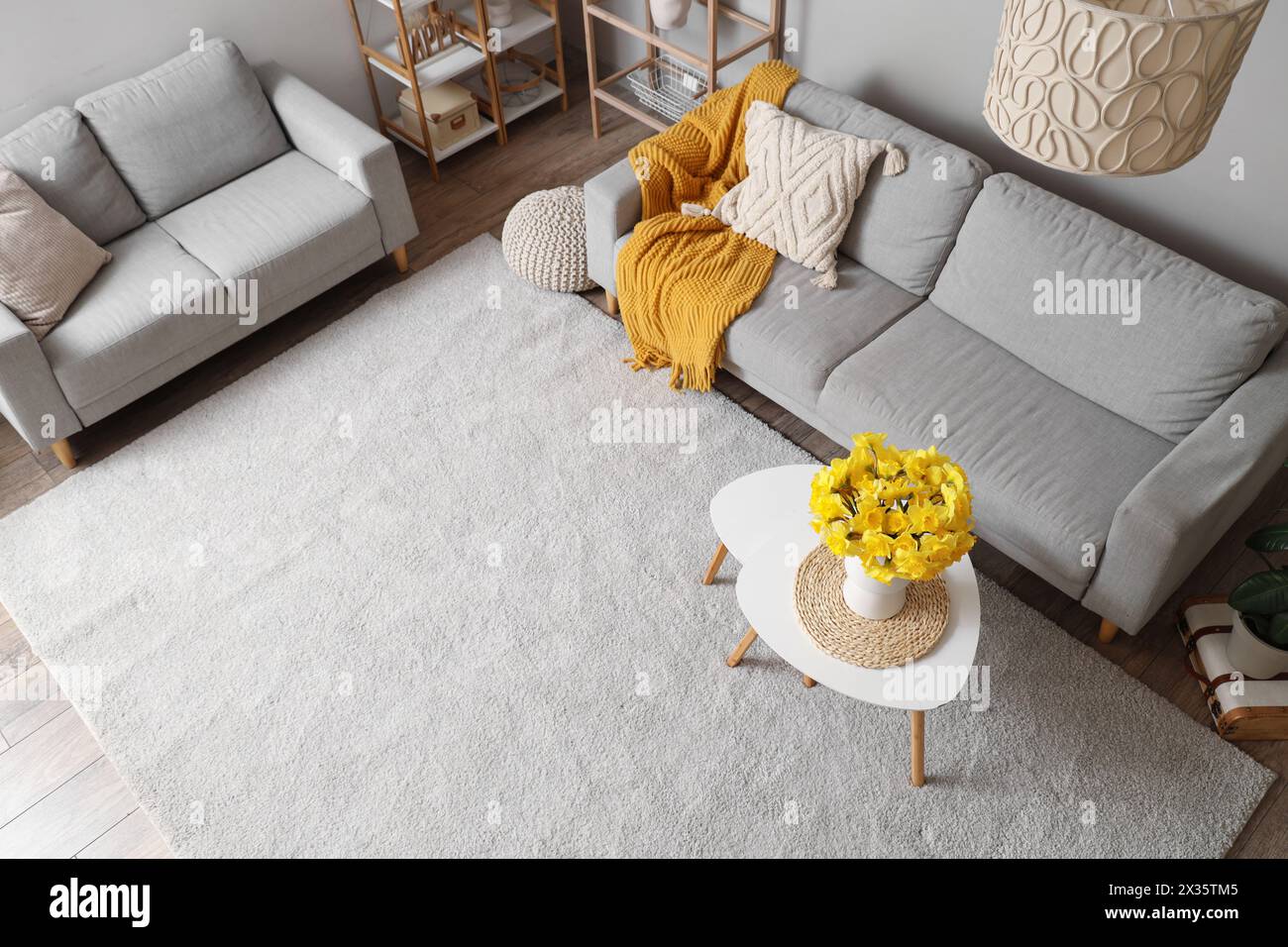 Cozy sofas and coffee table with bouquet of narcissus flowers in living room Stock Photo