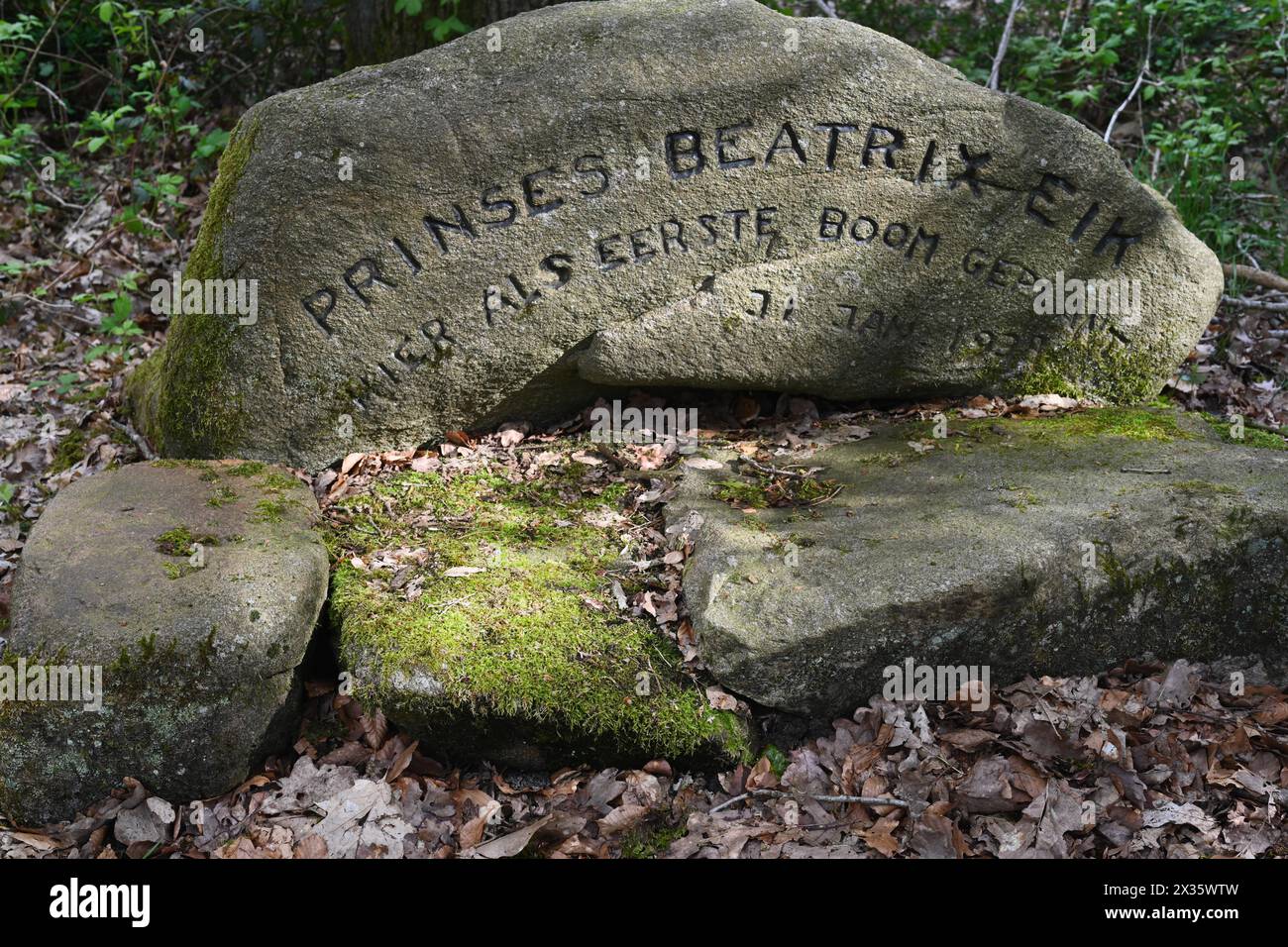 NL, Eesergroen: Spring shapes the landscape, cities and people in the province of Drenthe in the Netherlands. Memorial oak for Princess Beatrix (later Stock Photo