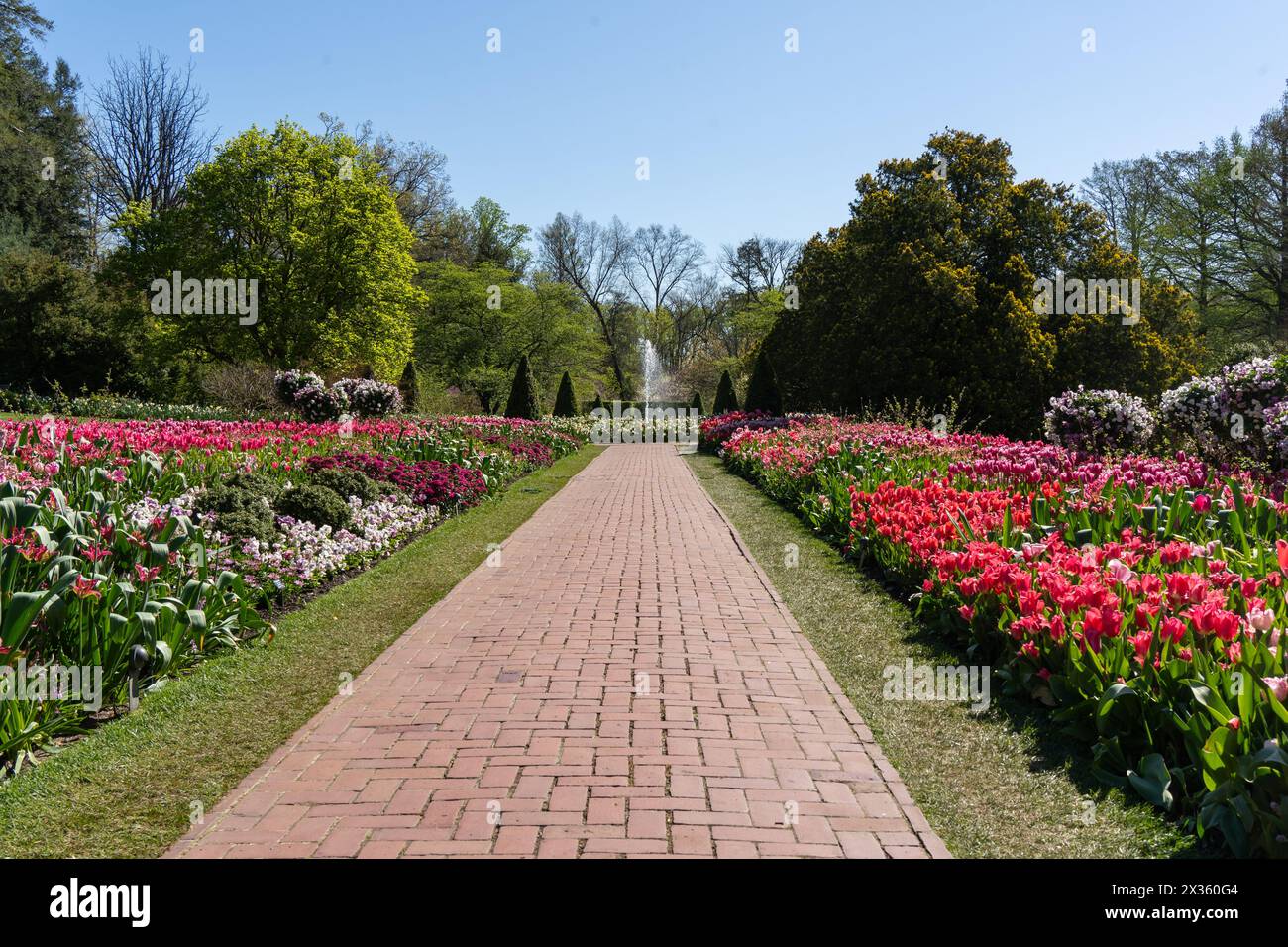 Beautiful Fountain and Gardens at Longwood Gardens, Kennett Square, Pennsylvania Stock Photo