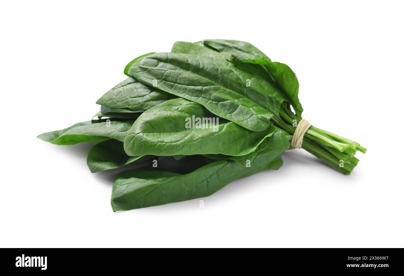 Bunch of fresh spinach leaves isolated on white Stock Photo