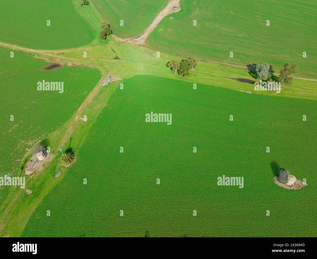 Aerial view of a green field with wheel tracks all running to a central point at Tamworth in New South Wales, Australia. Stock Photo