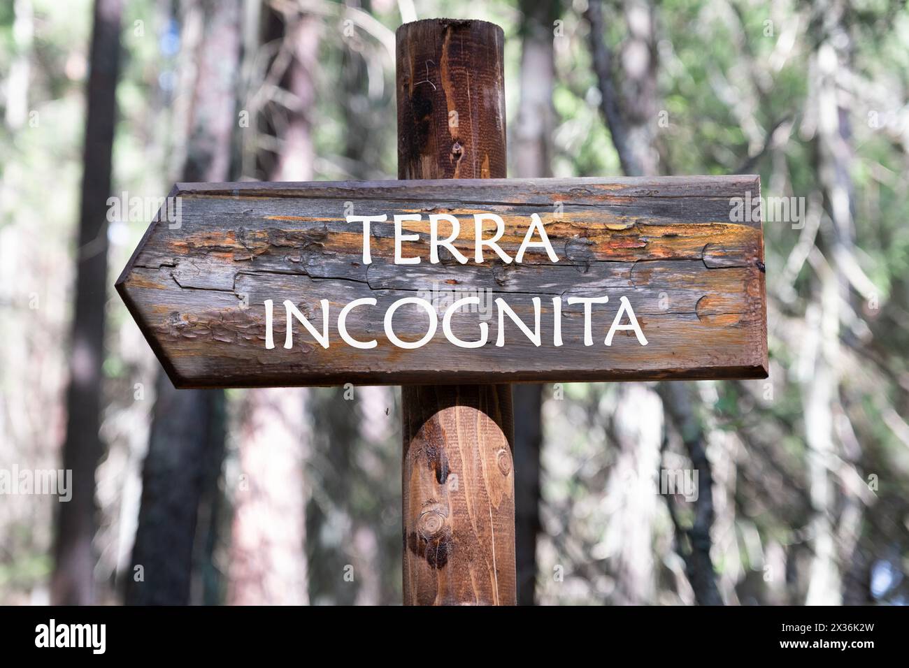 Terra incognita the phrase means unknown land, inscription on the wooden signpost against the background of the forest Stock Photo