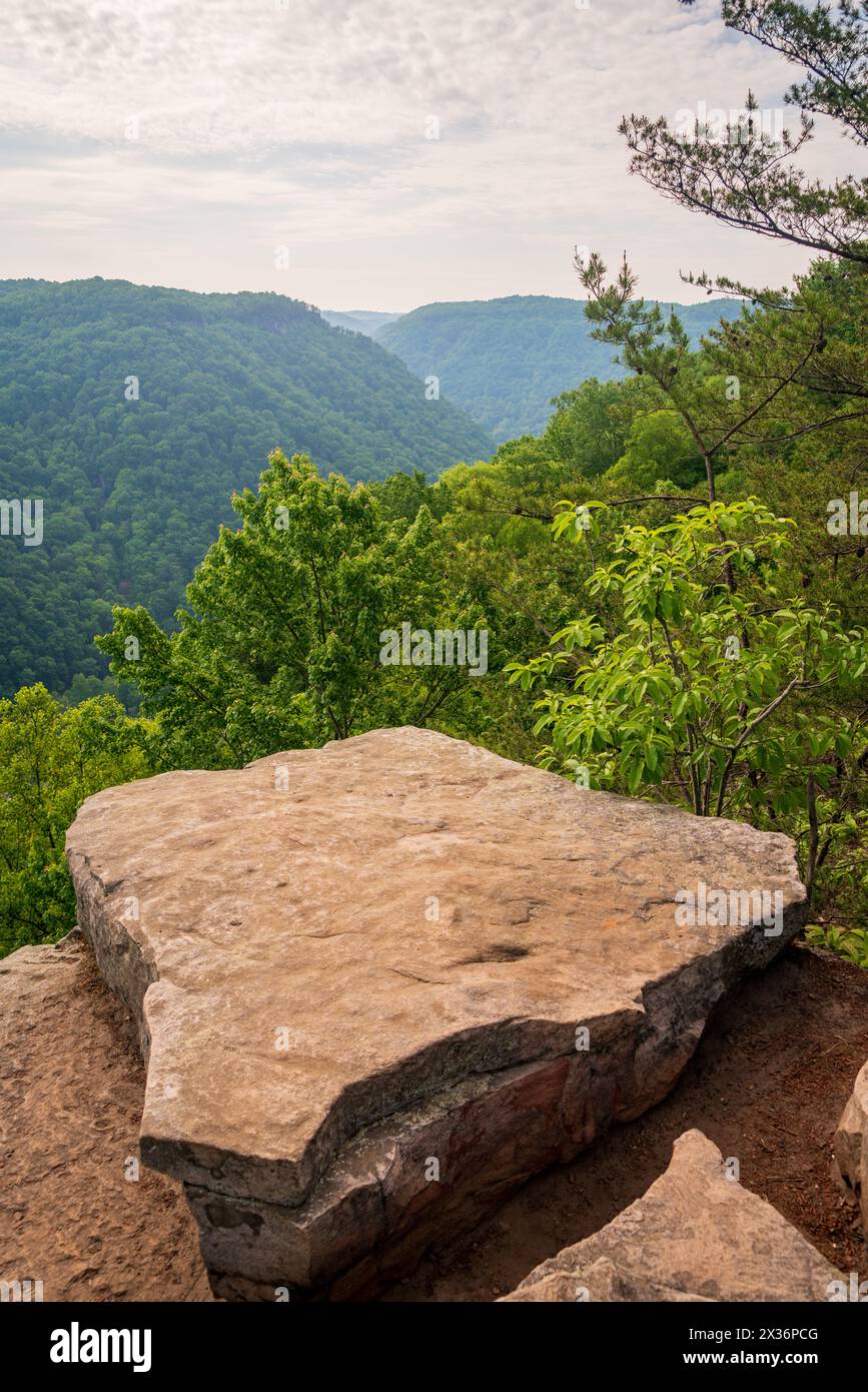 A Hiking Trail Along the Ridge at New River Gorge National Park and Preserve in southern West Virginia in the Appalachian Mountains, USA Stock Photo