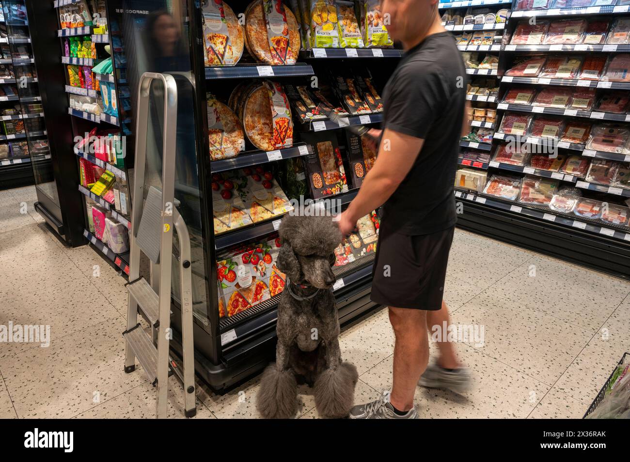 People bringing pet dogs into food sections of supermarkets, Hong Kong