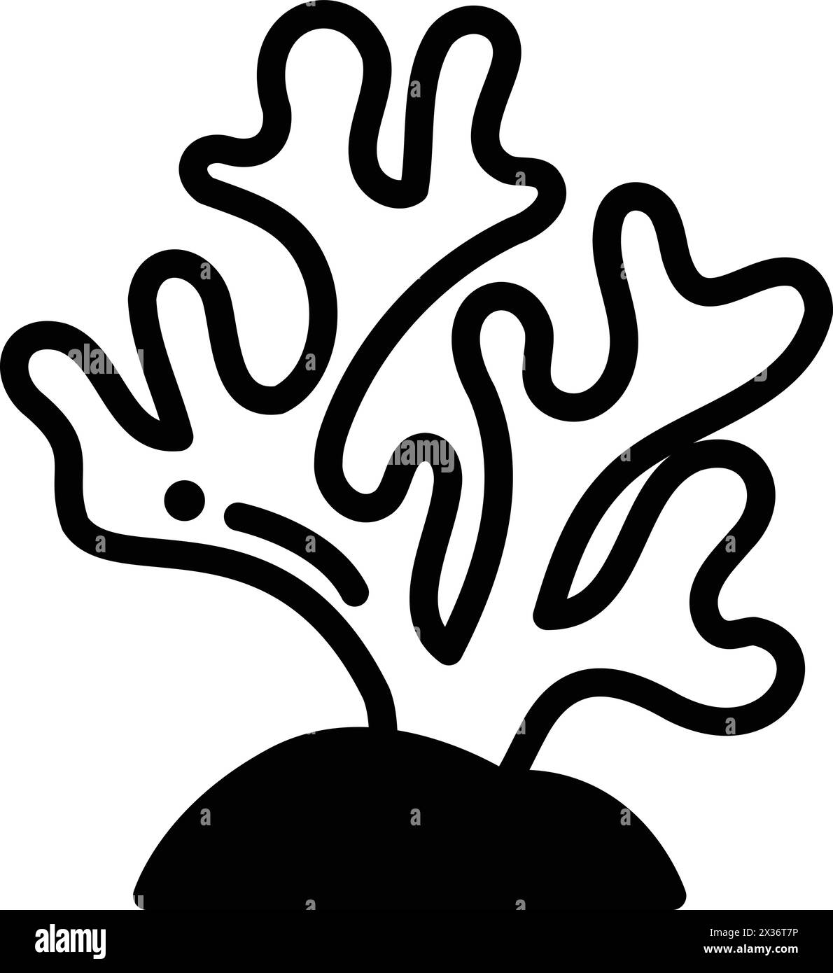 brain-coral-picture-black-and-white-stock-photos-images-alamy