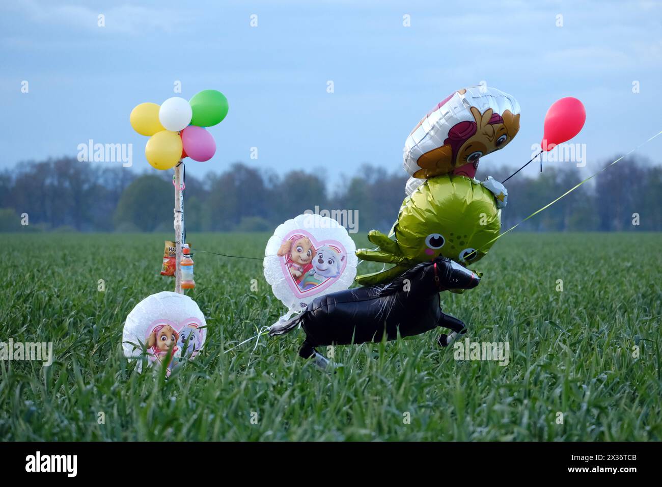 24 April 2024, Lower Saxony, Bremervörde: Balloons and sweets in a field near Bremervörde. There is still no trace of a missing six-year-old boy from Bremervörde in Lower Saxony. Photo: Markus Hibbeler/dpa Stock Photo