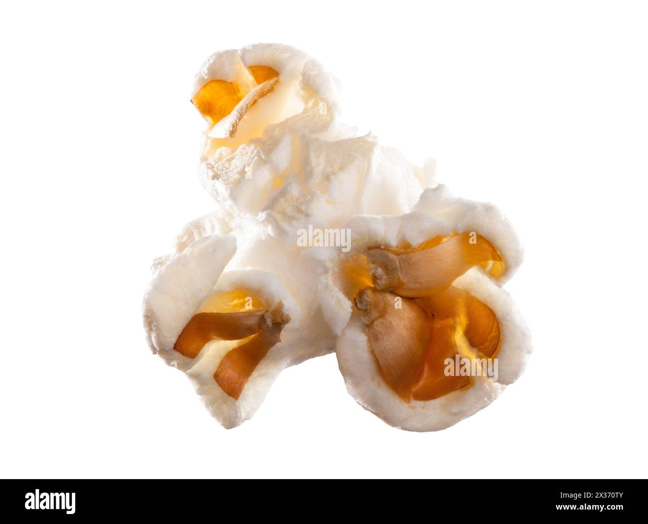 Food, single and popcorn snack in studio for nutrition or carbs, diet