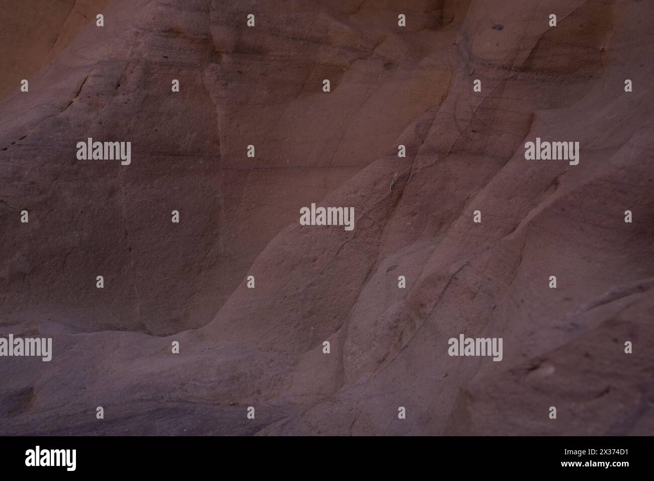 Closeup of rocks in Red Canyon, Geological nature park, near Eilat, Israel Stock Photo