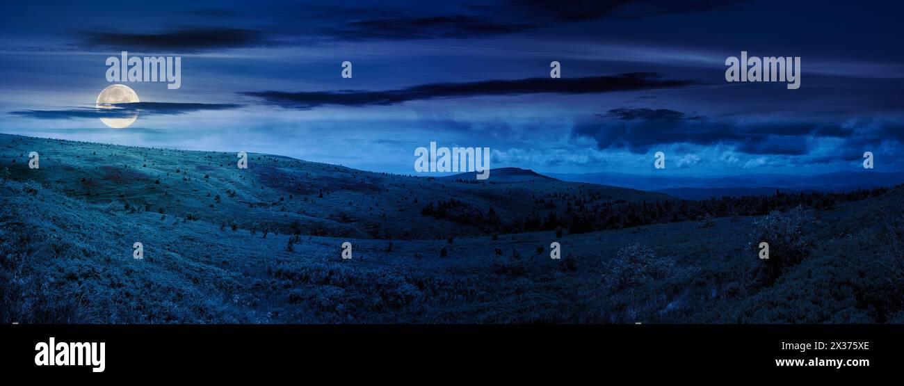 panorama of carpathian mountain landscape at night. composite scene with grassy hills and meadows in full moon light. fantasy background Stock Photo