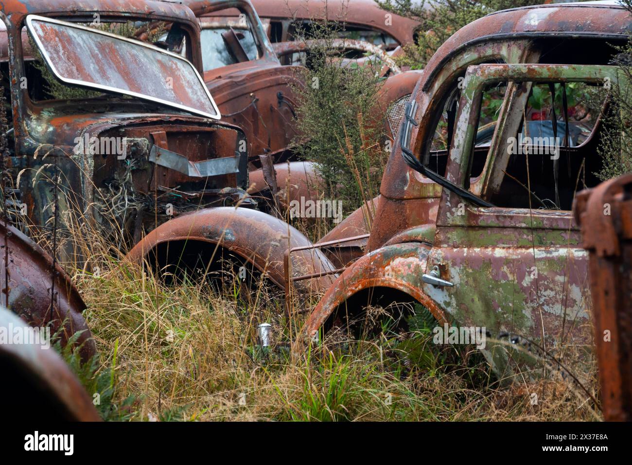Abandoned antique vehicles hi-res stock photography and images - Alamy