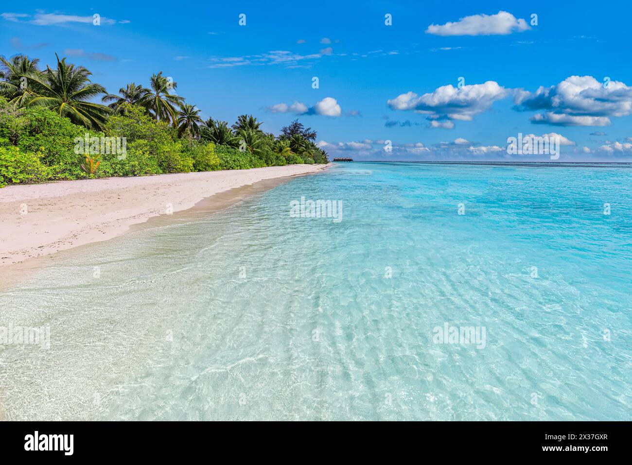 Beach blue sky sea palm trees sunny hi-res stock photography and images ...