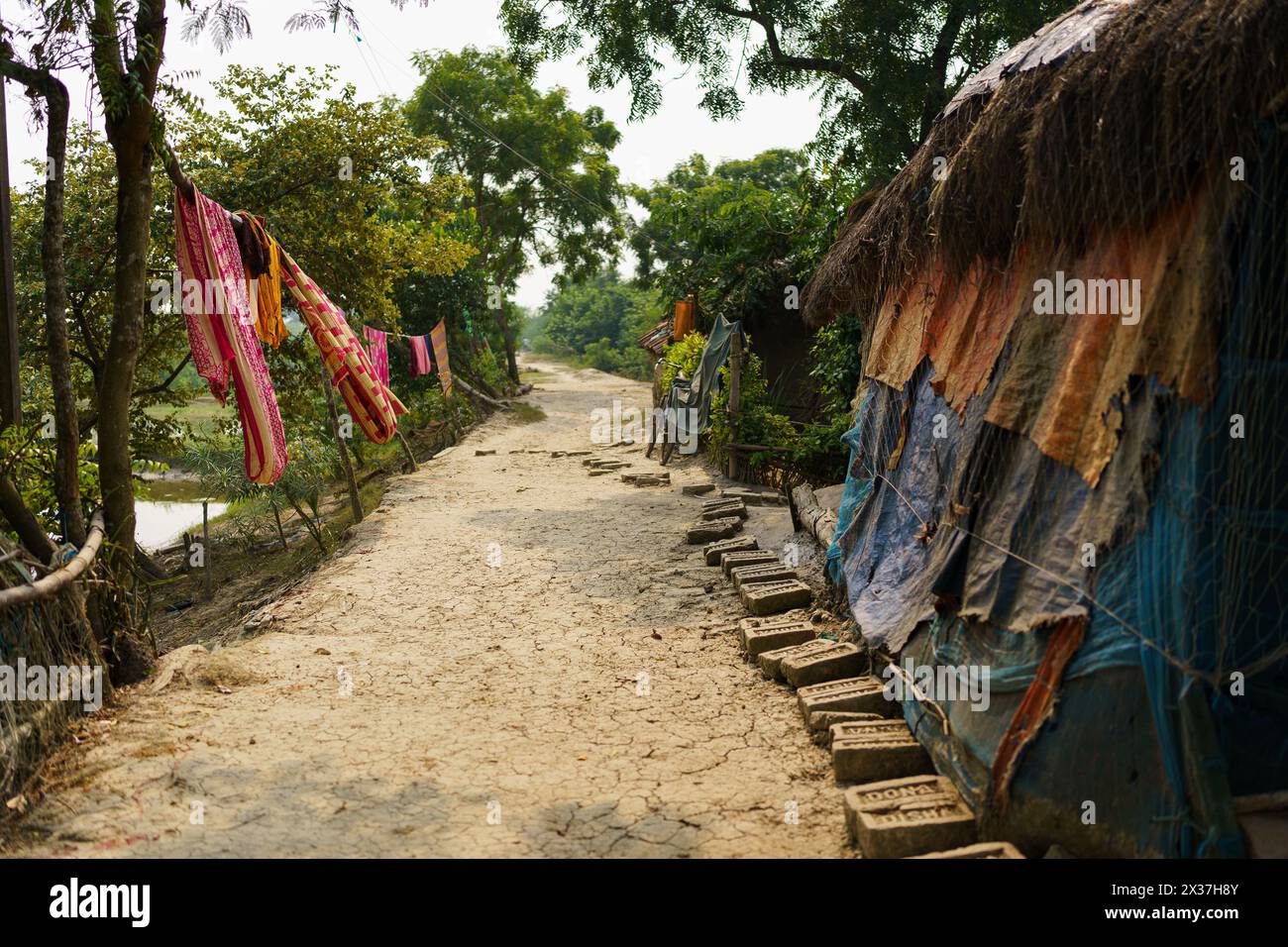 Sundarbans, India - 20 October 2023: an empty unpaved dirt road in a village in rural india. Concept of infrastructure and development in India Stock Photo