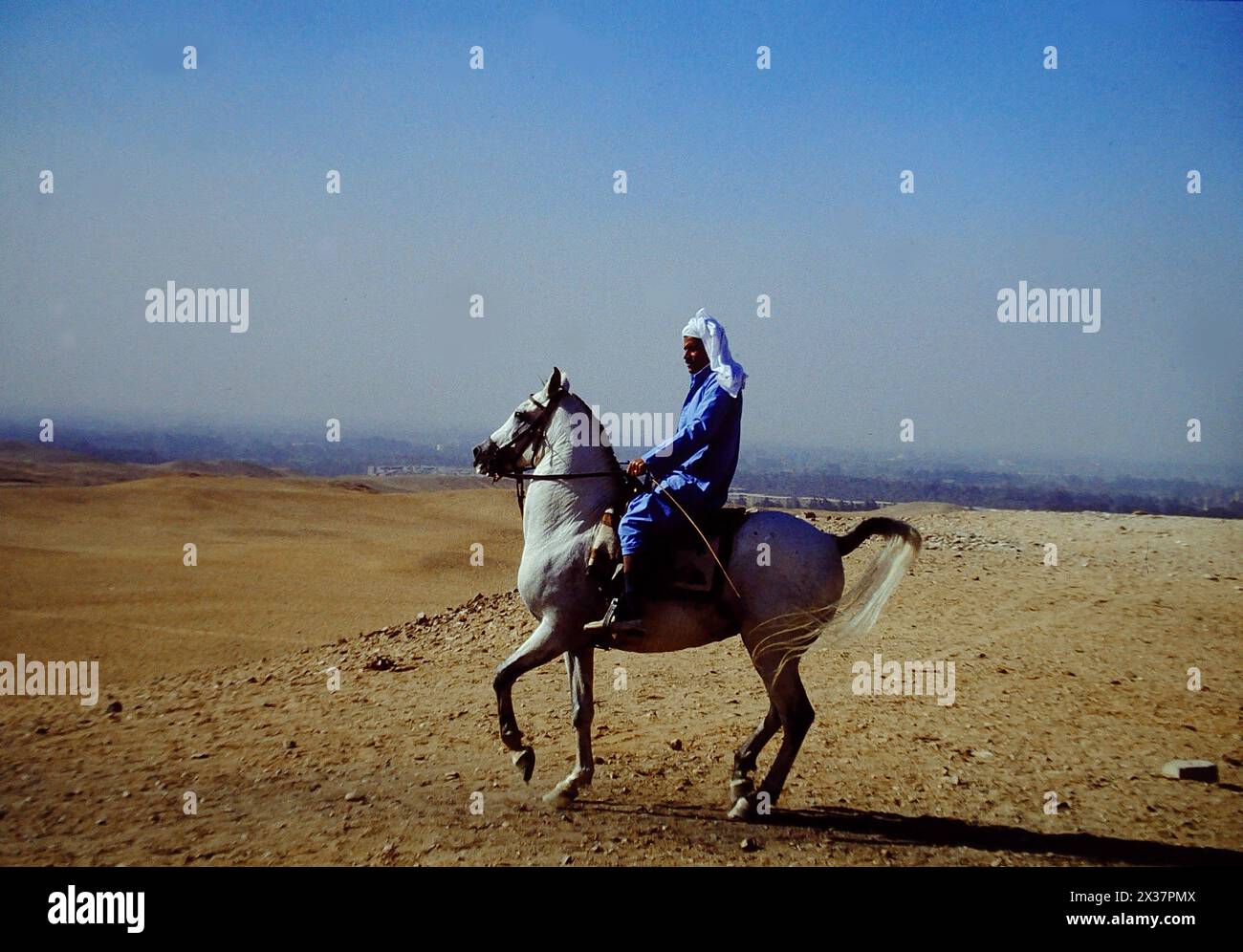 Ein Araber reitet auf einem Araberpferd Statussymbol fuer Stammesfuehrer oder wohlhabende