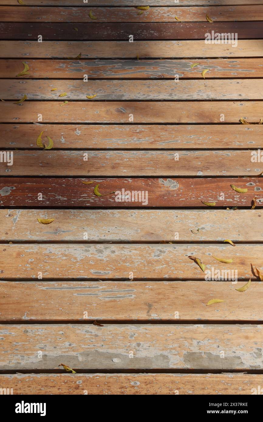 Close up of Worn Wood Panelled Walkway in Garden Muscat Oman Stock Photo