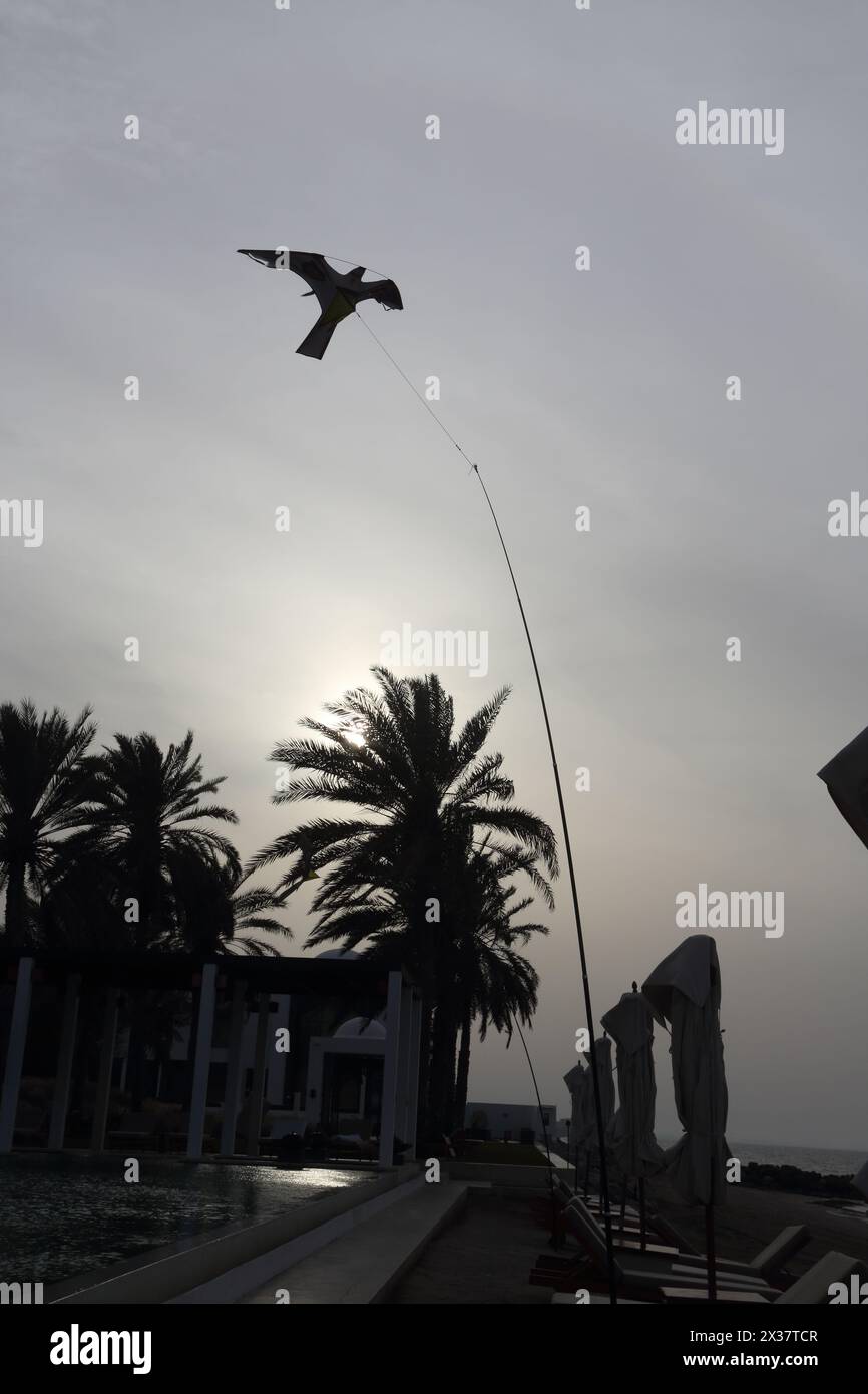 Hawk Scarer Kite used as a Deterrent to Bird Flying Above Infinity Pool By Walkway at The Chedi Hotel Muscat Oman Stock Photo