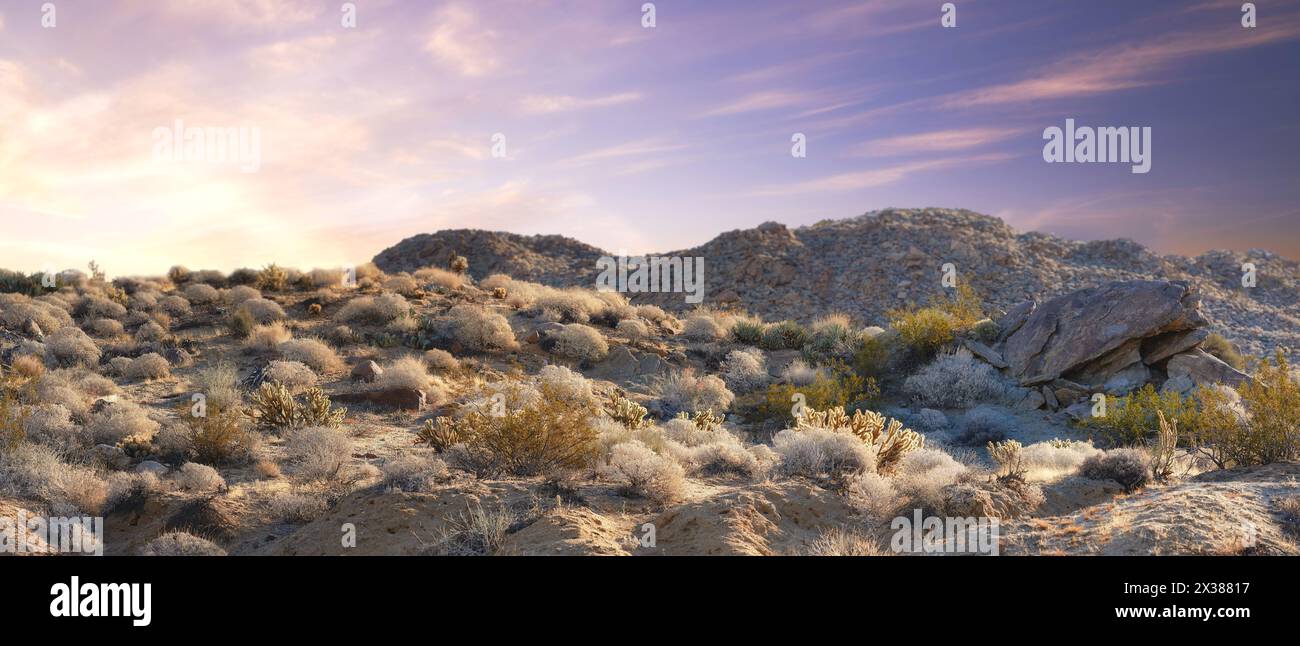 California, desert and land with panorama, environment and blue sky for travel or tourism. Nature, mountain and landscape for cactus, scenery and usa Stock Photo