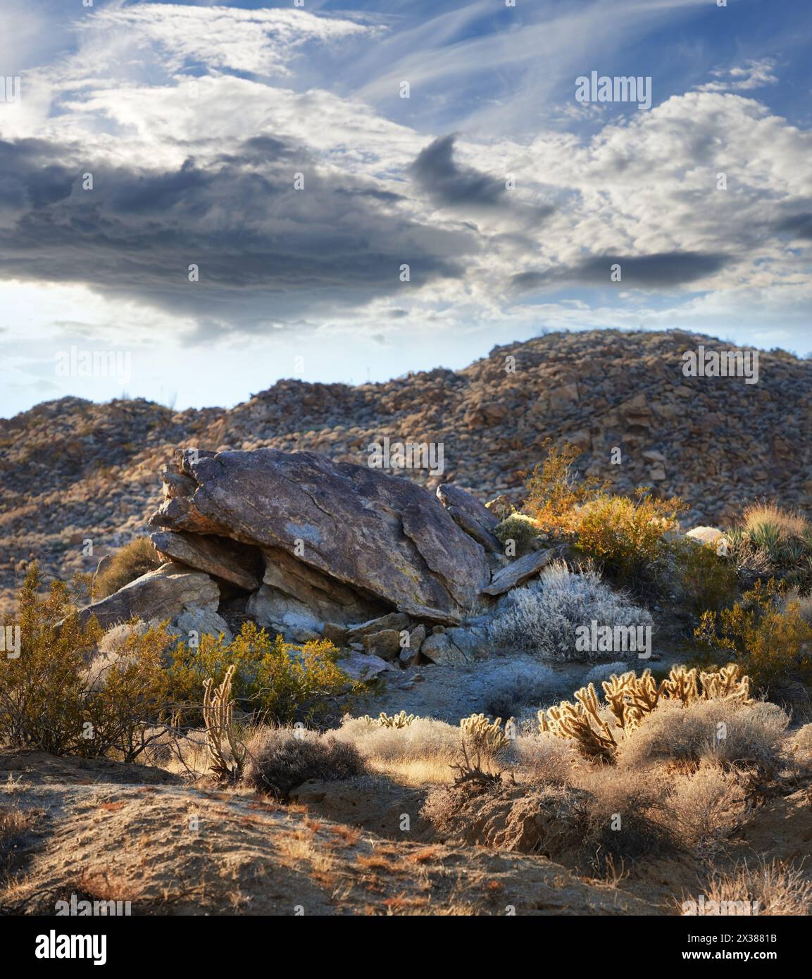 California, desert and landscape with view, enviroment and blue sky for travel or tourism. Nature, mountain and land for cactus, scenery and usa Stock Photo