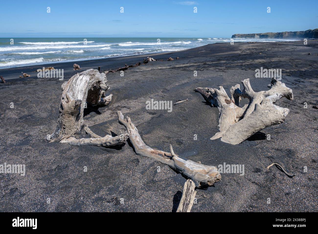 Driftwood washed up on Patea Beach, Taranaki, North Island, New Zealand Stock Photo