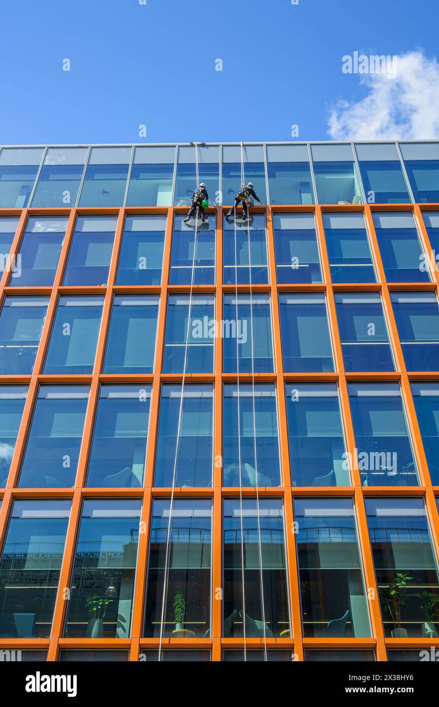 Abseiling window cleaners on the facade of a multistorey office