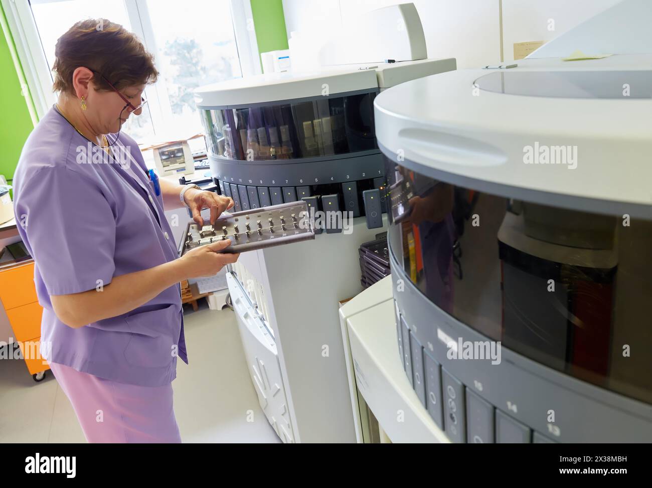 In situ hybridization ish process hi-res stock photography and images ...
