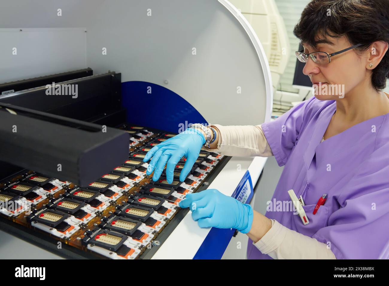Immunocytochemistry FISH CISH Test Long Short 