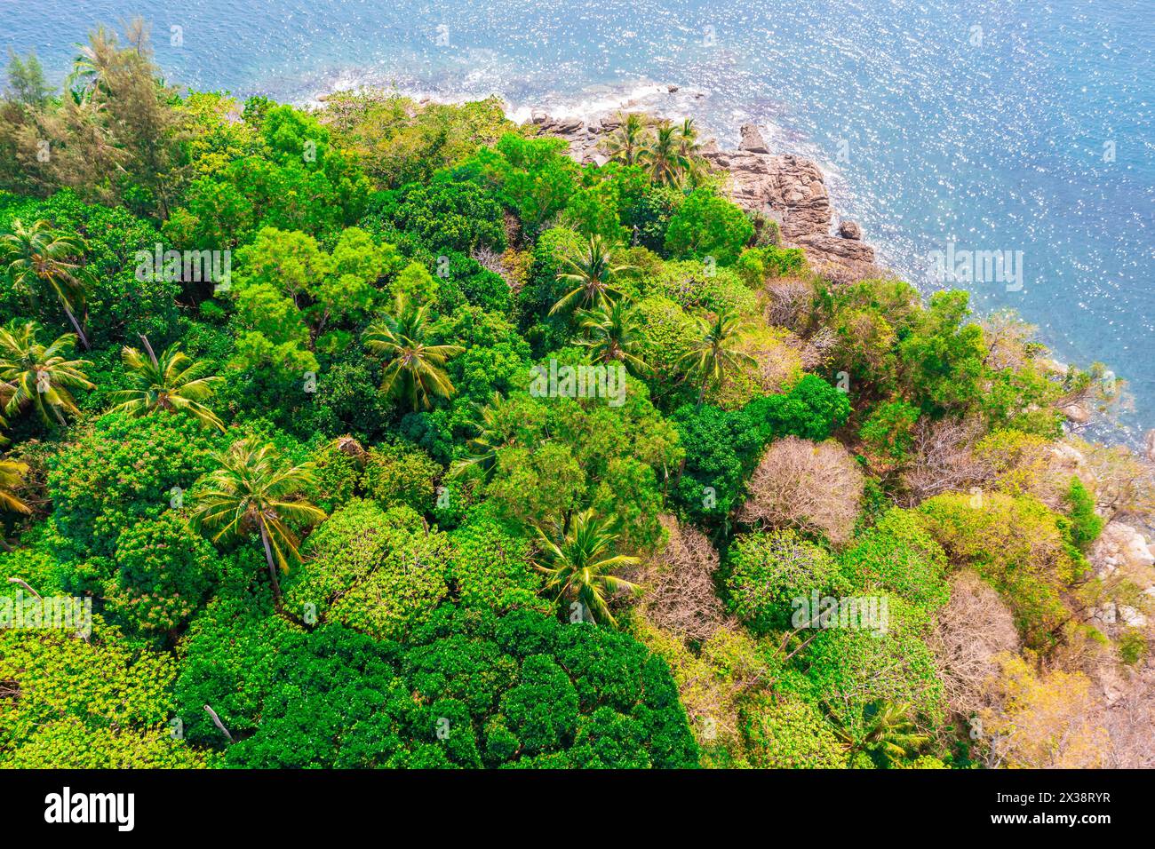 Aerial view of sea waves fantastic wild rocky coast Stock Photo - Alamy