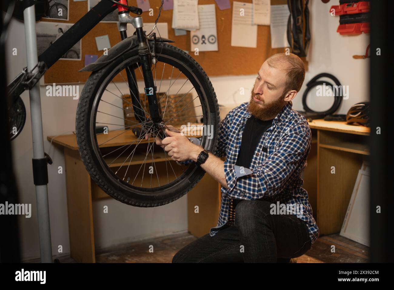 Bearded red-haired man in a checkered shirt repairs a bicycle while squatting in a garage or workshop. Stock Photo