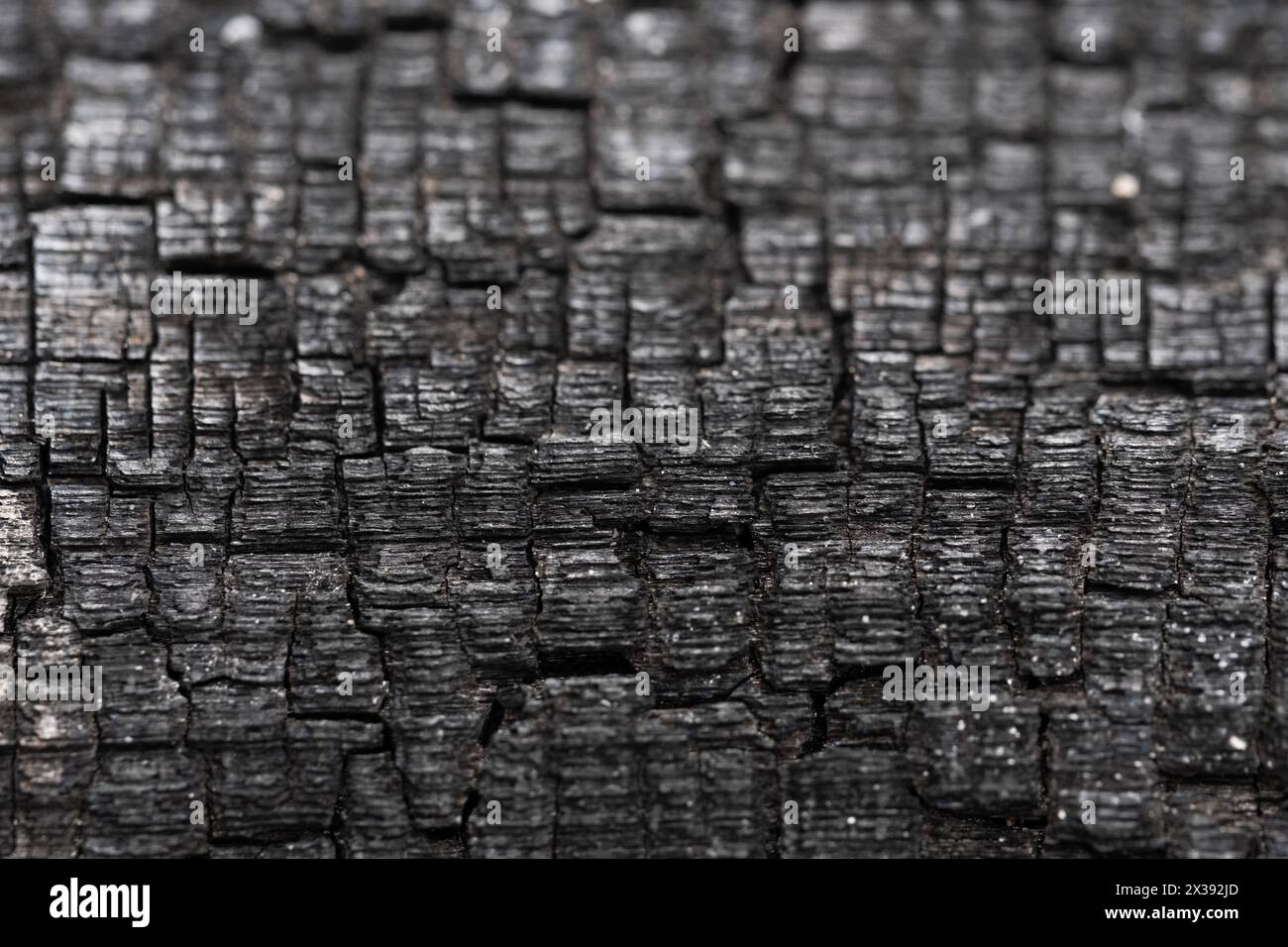 Close up of black burnt wood texture. Abstract background and texture ...