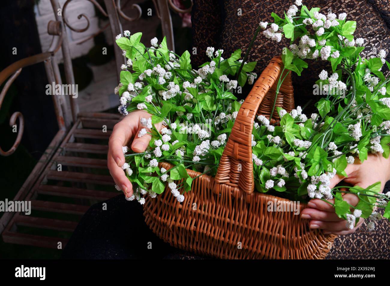 Woman in dress holds basket with flowers wrought on iron bench in studio, closeup Stock Photo