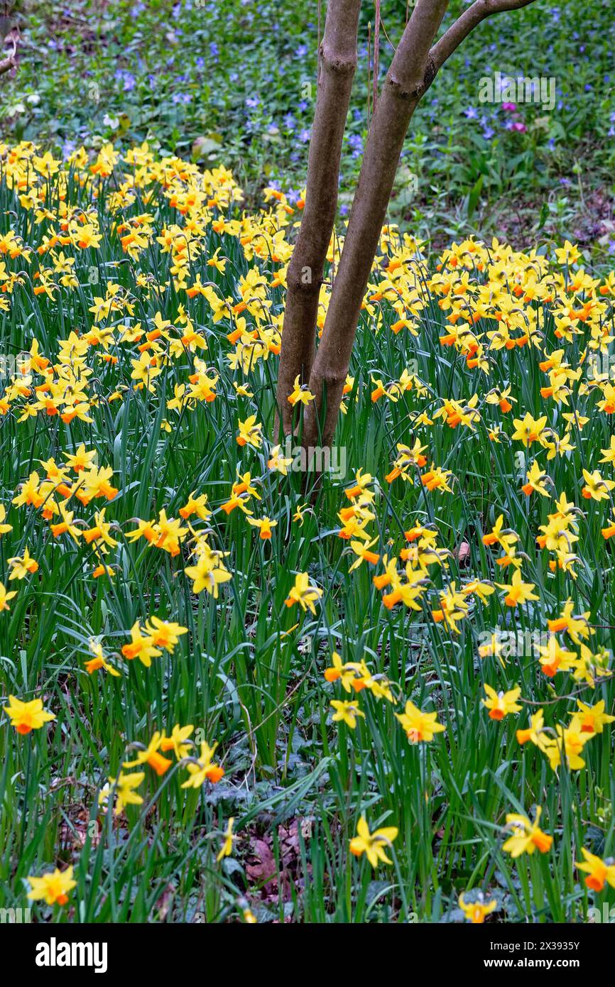 Var jetfire hi-res stock photography and images - Alamy