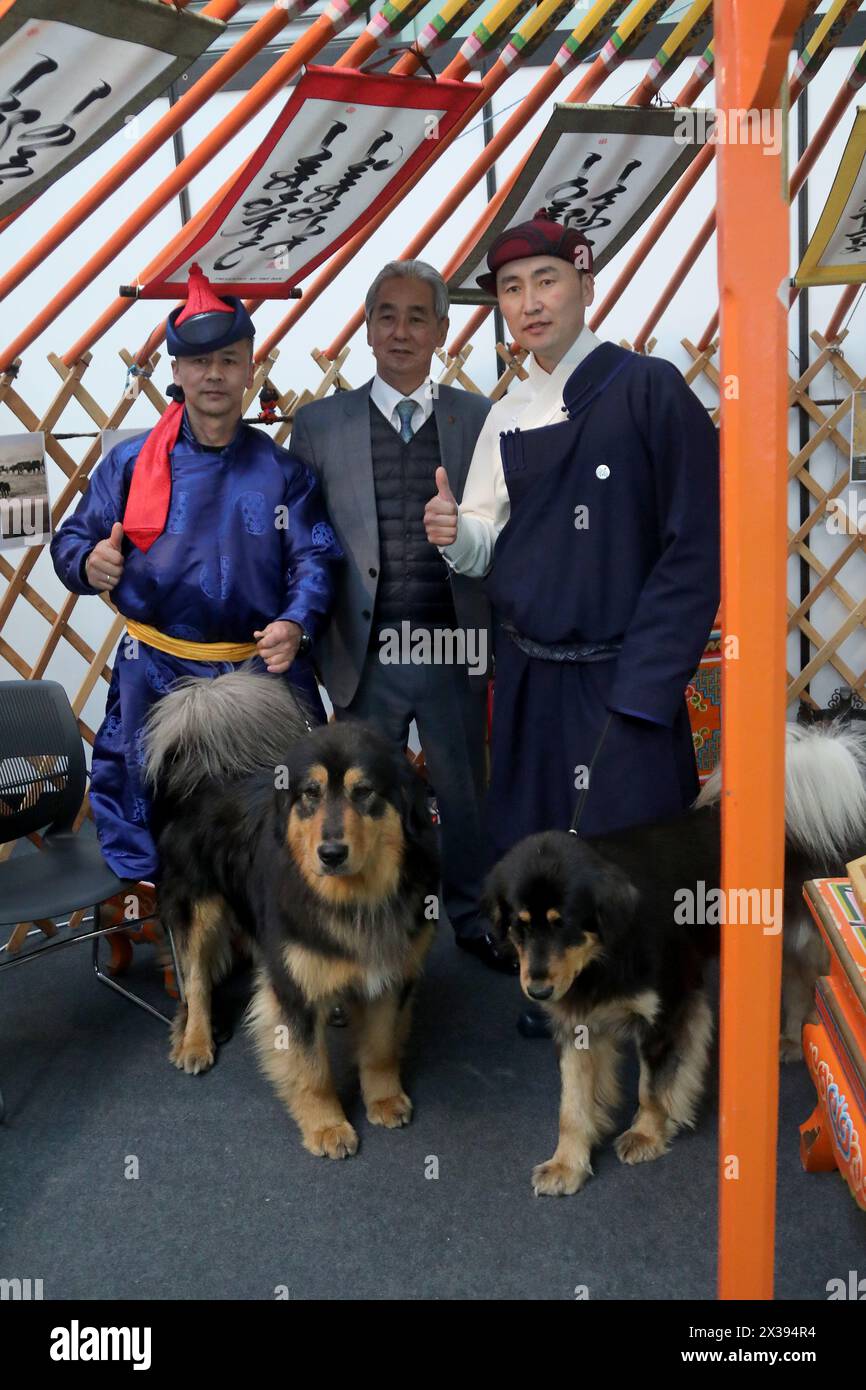 World dog show hires stock photography and images Alamy