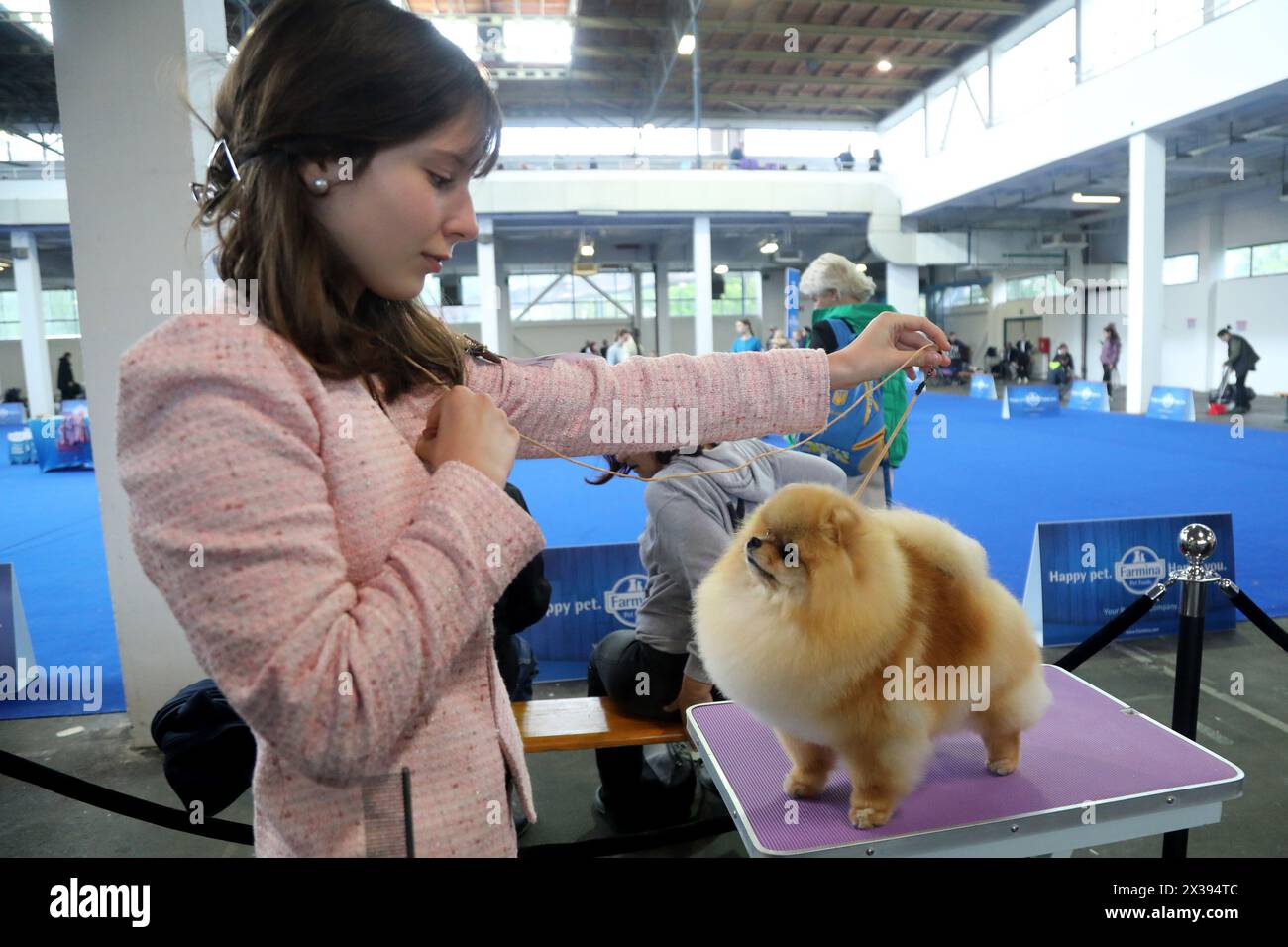 World dog show hires stock photography and images Alamy