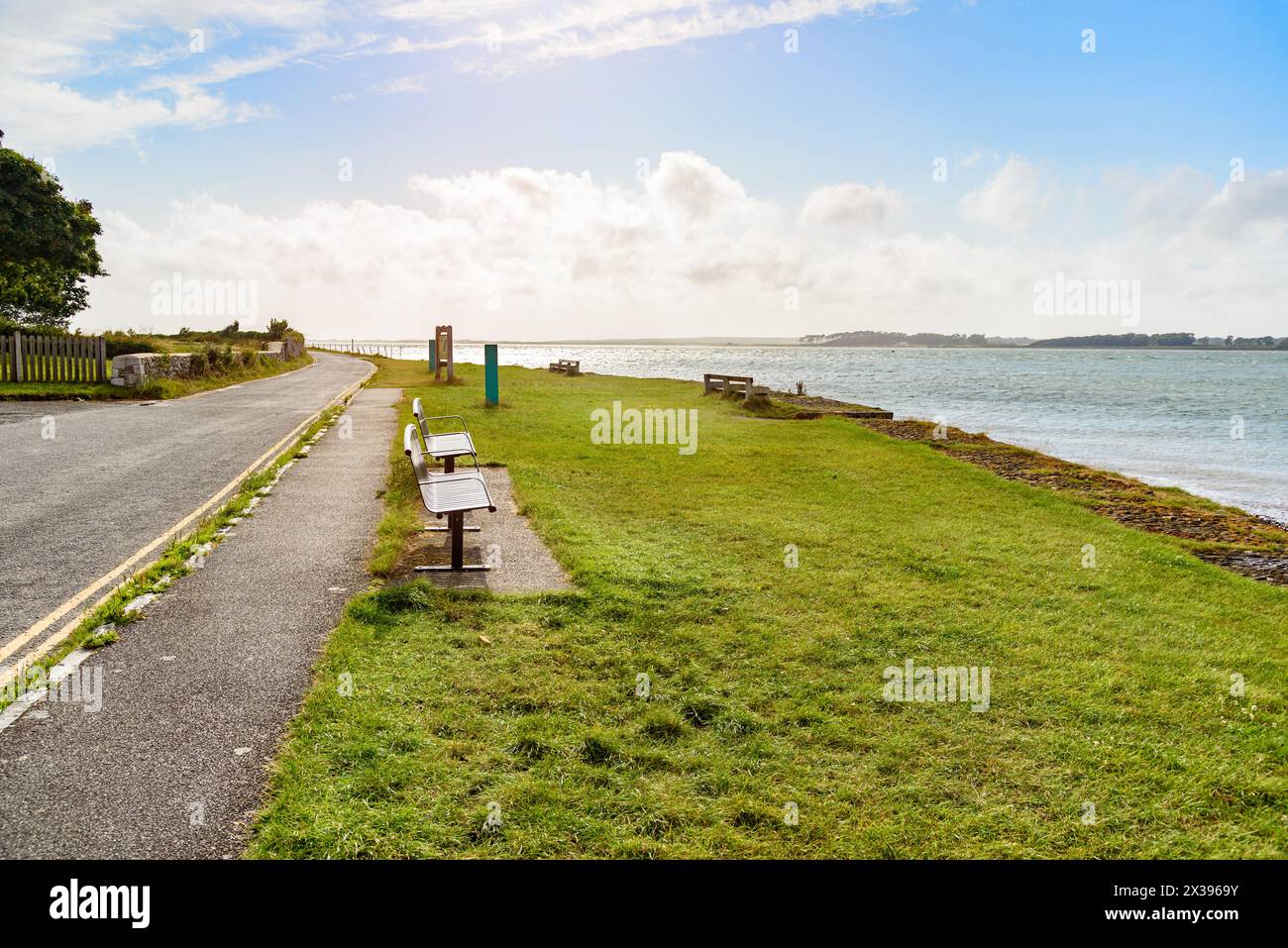 Benches on grass along a coast road at sunset in summer Stock Photo