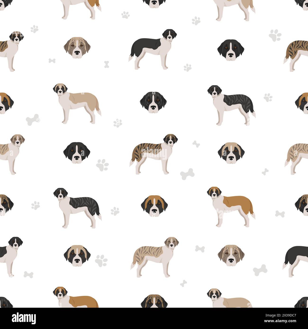 Alentejo mastiff all colours seamless pattern. Different coat colors set.  Vector illustration Stock Vector