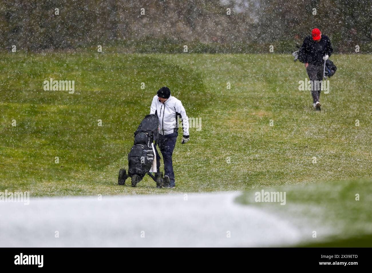 Two golfers brave the weather during Darlington Mowden Park Rugby Club's Annual Golf Day at Dinsdale Spa Golf Club, Middleton St George, Darlington in England on Thursday 25th April 2024. (Photo: Mark Fletcher | MI News) Credit: MI News & Sport /Alamy Live News Stock Photo