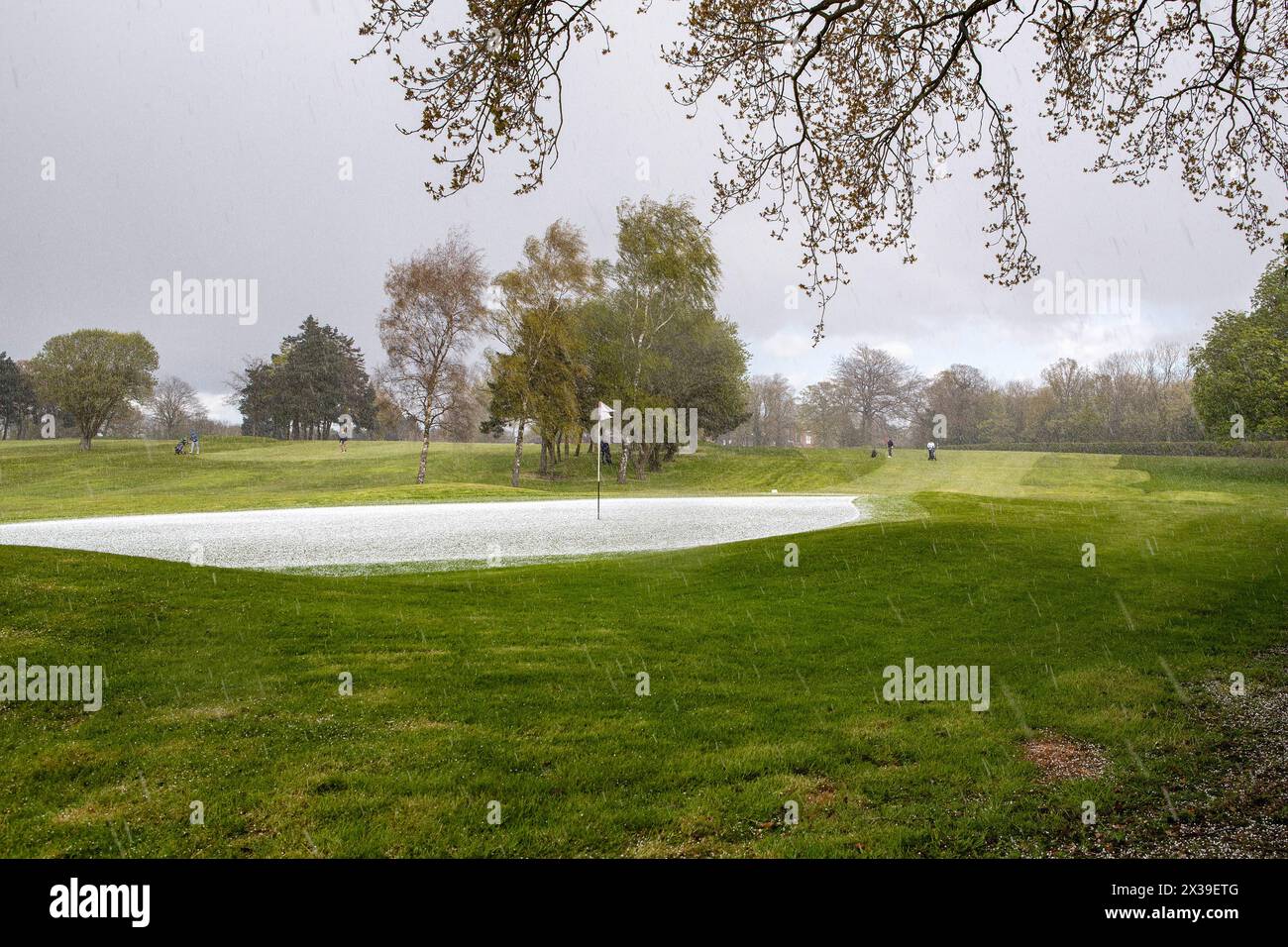 A green is covered in hailstones during Darlington Mowden Park Rugby Club's Annual Golf Day at Dinsdale Spa Golf Club, Middleton St George, Darlington in England on Thursday 25th April 2024. (Photo: Mark Fletcher | MI News) Credit: MI News & Sport /Alamy Live News Stock Photo
