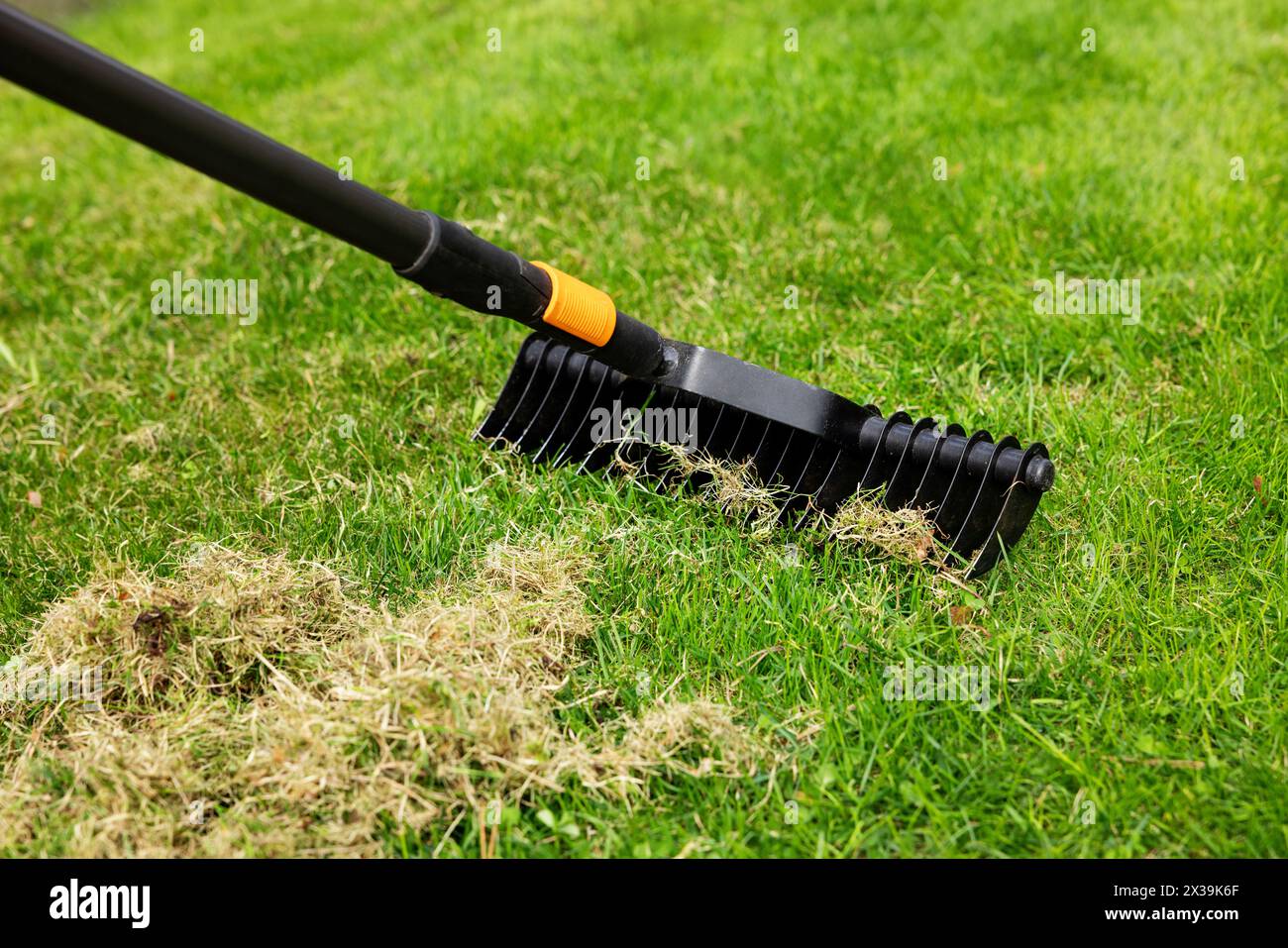 Lawn scarification hires stock photography and images Alamy