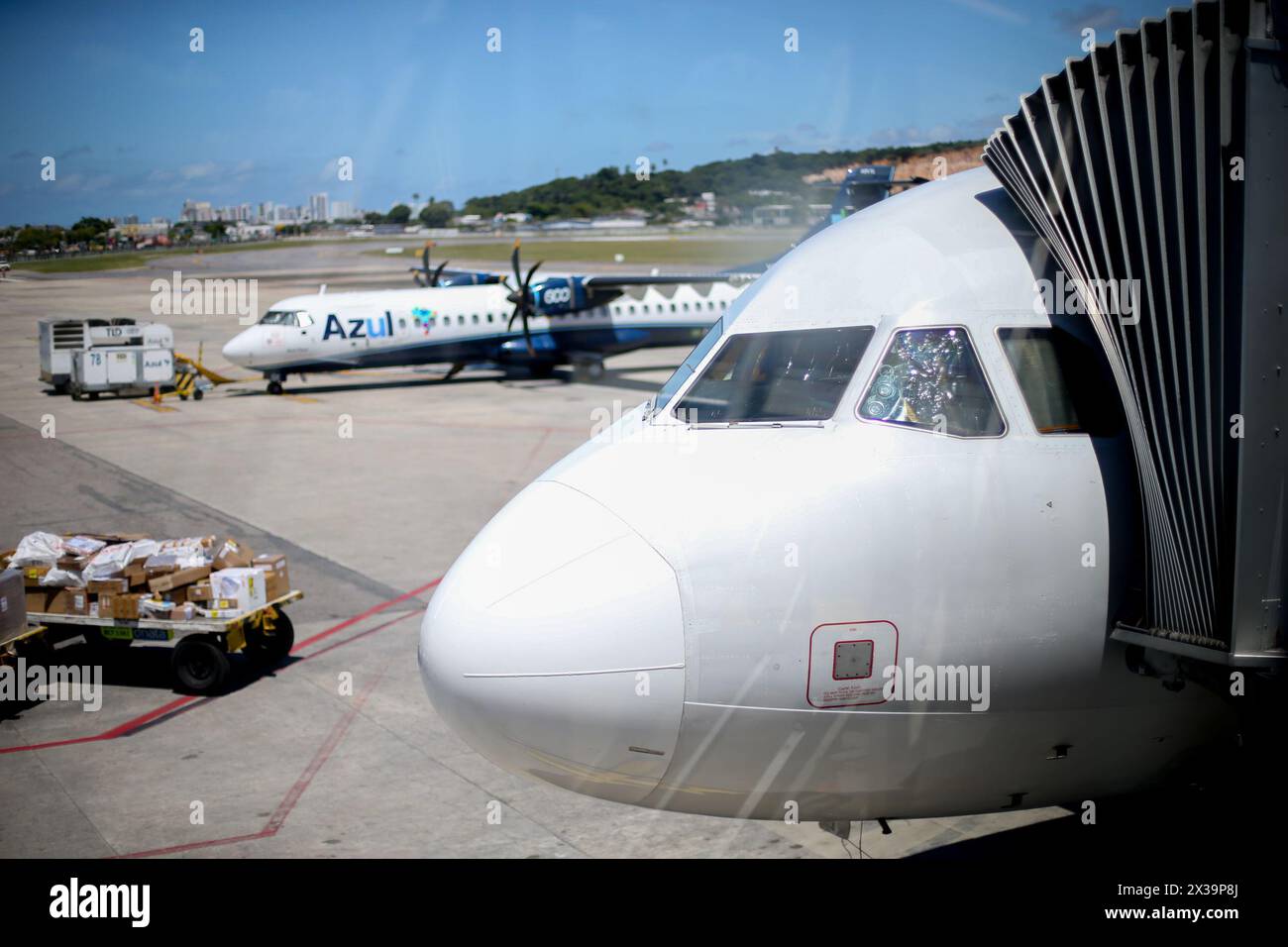 Recife, Brazil. 25th Apr, 2025. PE RECIFE 04/25/2025 RECIFE