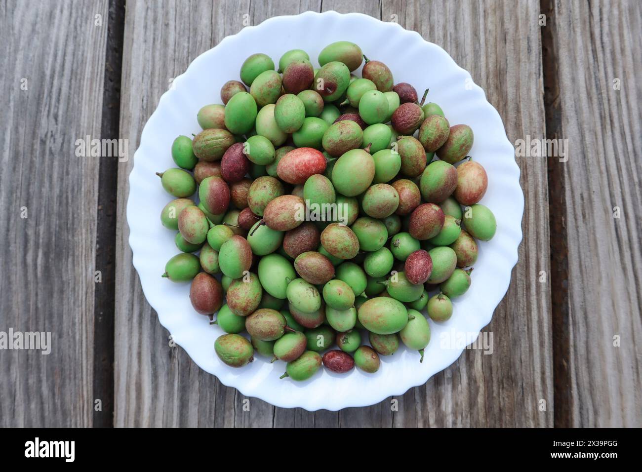 Karonda fruit on fruit. Bengal-currant or Carandas-plum , carissa carandas in green color Stock Photo
