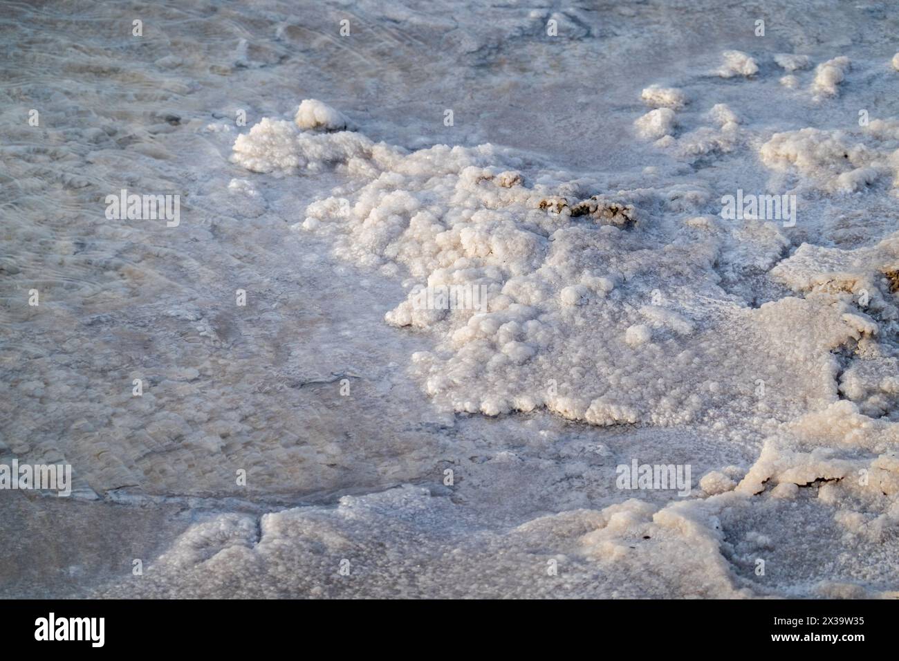 Close-up view of white, natural salt formations on the shallow, crystalline surface of a saltwater body, showcases textures and patterns formed by salt. Stock Photo