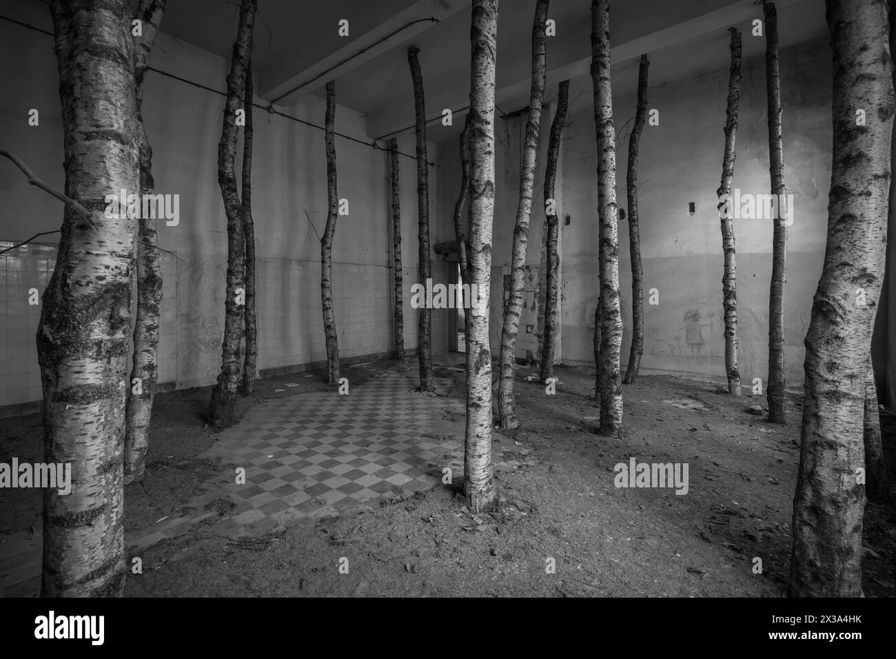 Tree trunks set up in a deserted room. Stock Photo