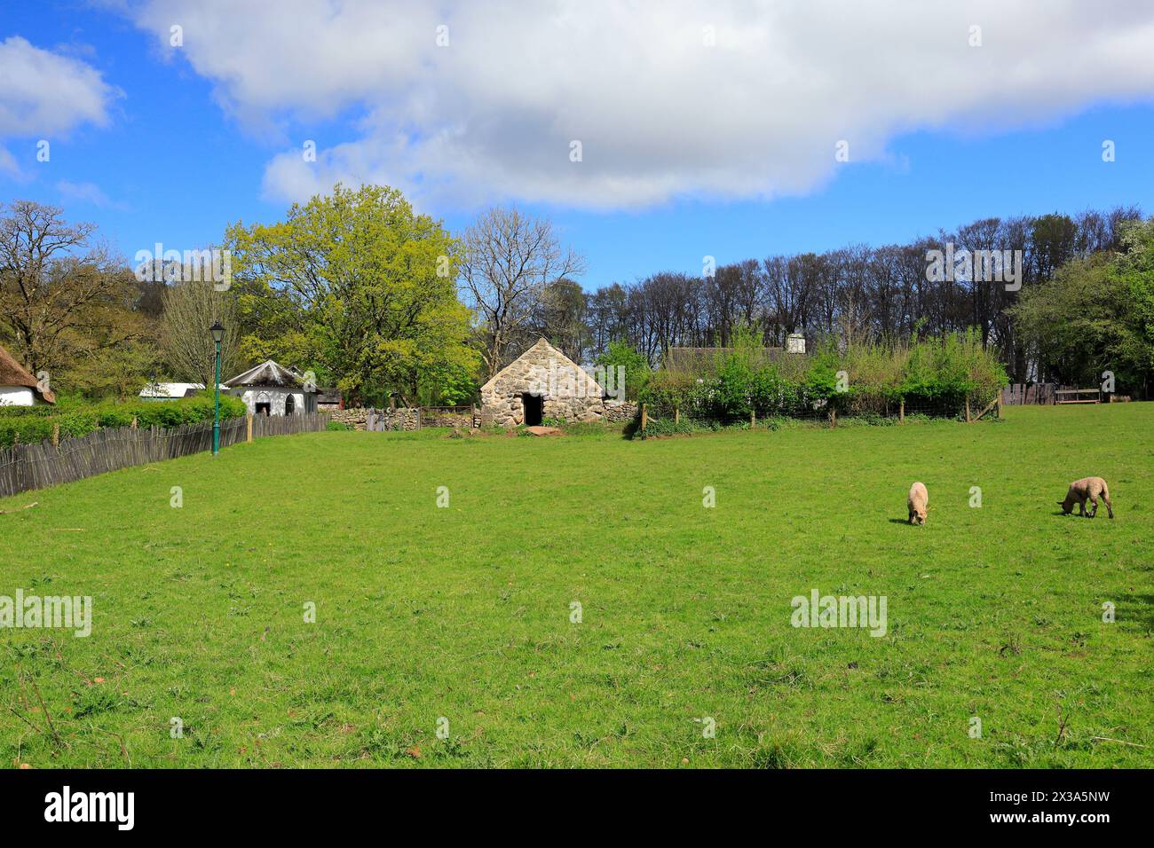 Meadow and Cae Adda Byre, St Fagan's National Museum of History. Taken ...