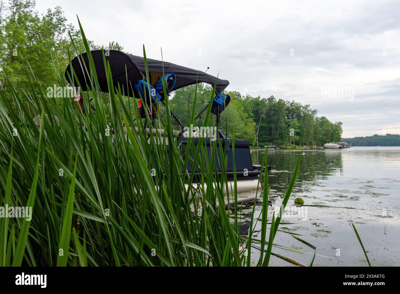 Peering through the reeds, past a pontoon boat, out onto a lake in northern Wisconsin.  Taken in Washburn County, Wisconsin Stock Photo