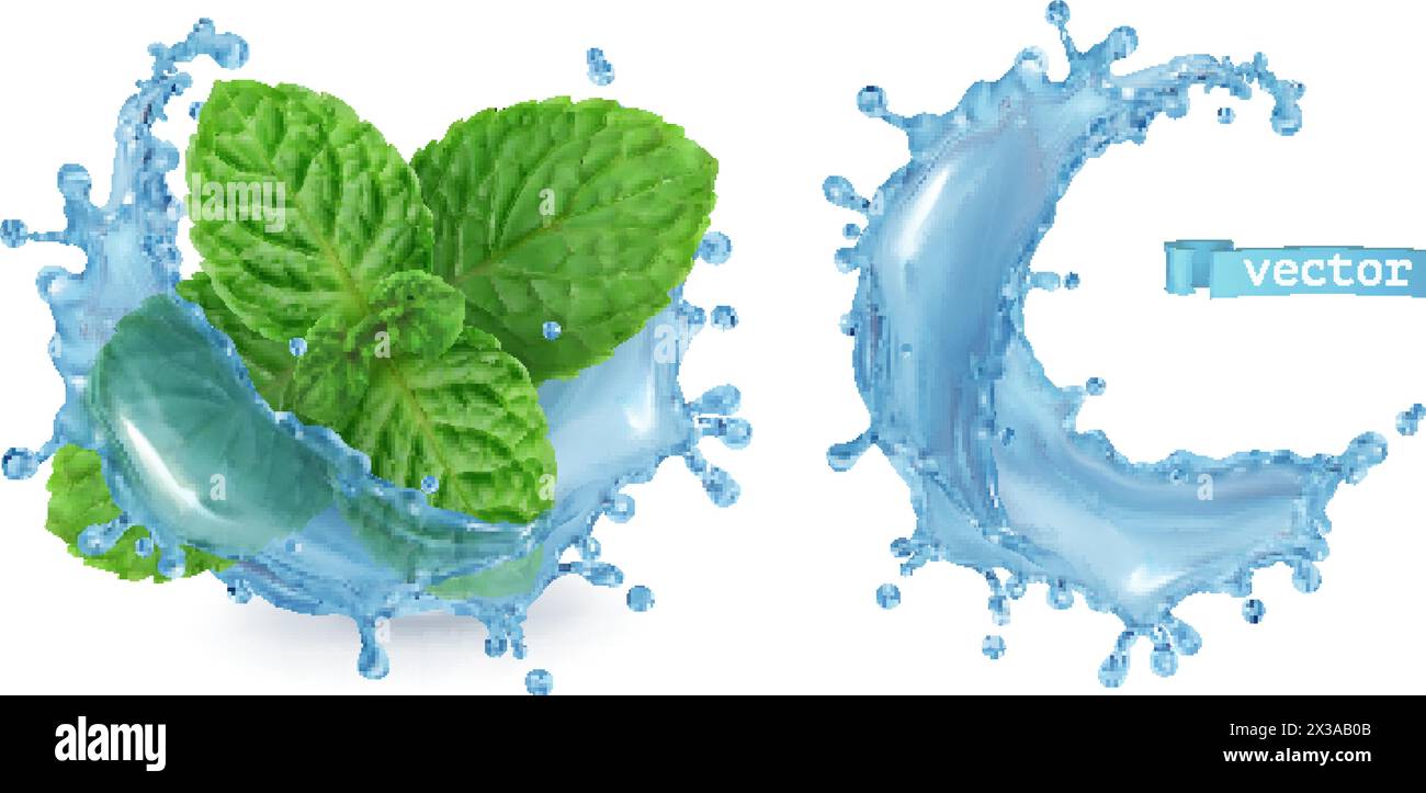 Splash water and mint. 3d realistic vector Stock Vector