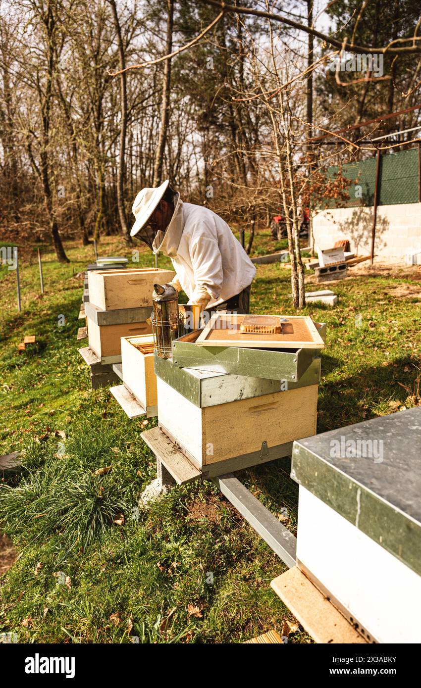 Caring for honey bee hive hi-res stock photography and images - Alamy