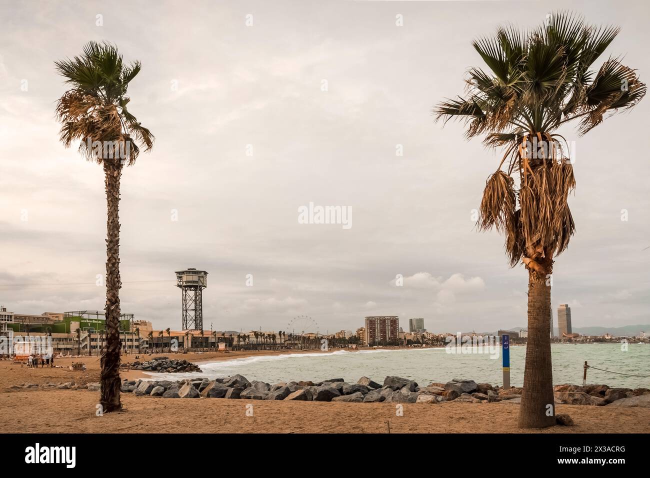 Beautiful sunset beach trees hi-res stock photography and images - Alamy