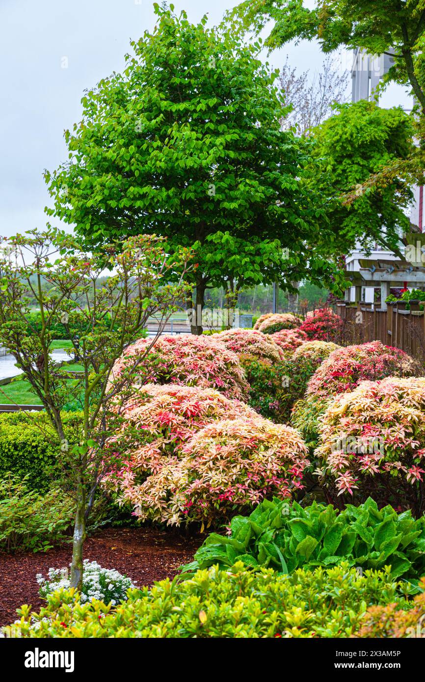Attractive landscaping around an apartment building in Steveston Canada Stock Photo