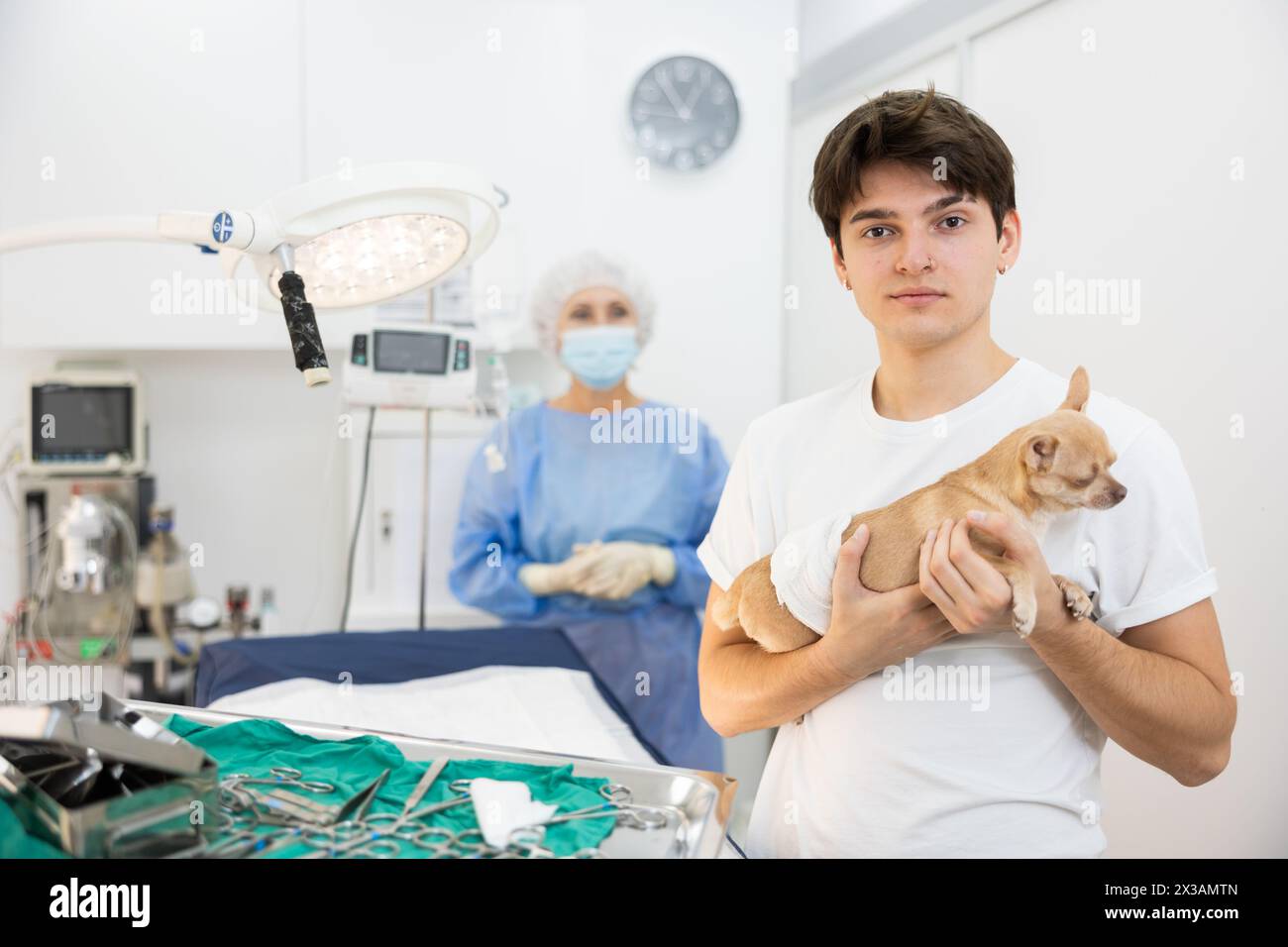 Smiling guy holding chihuahua after successful surgery at veterinary clinic Stock Photo